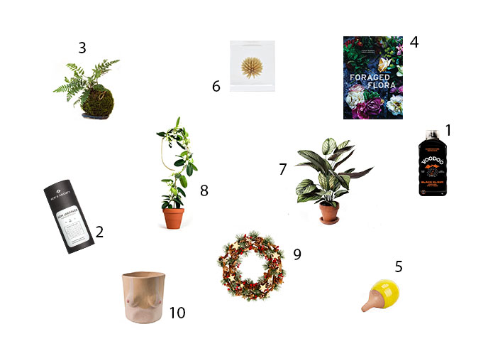 10 REGALI PER UN PLANTS NERD - bottegabotanica