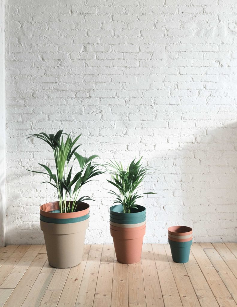 Vasi per piante da interno: 5 idee per la tua casa. - Heroplants