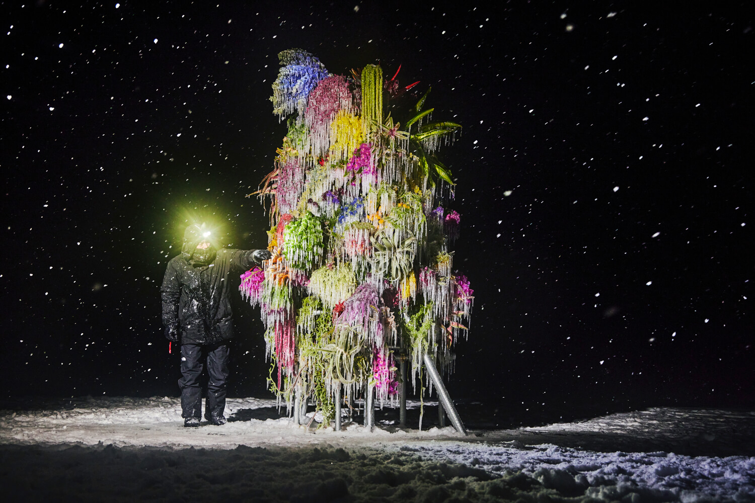 Installazioni di Azuma Makoto. Frozen Flower l'ultima installazione di Azuma Makoto è pura meraviglia.
