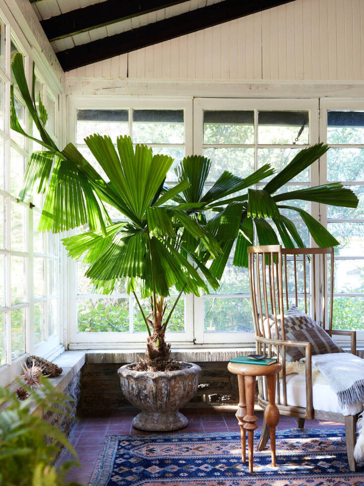 PLANT TREND 2024