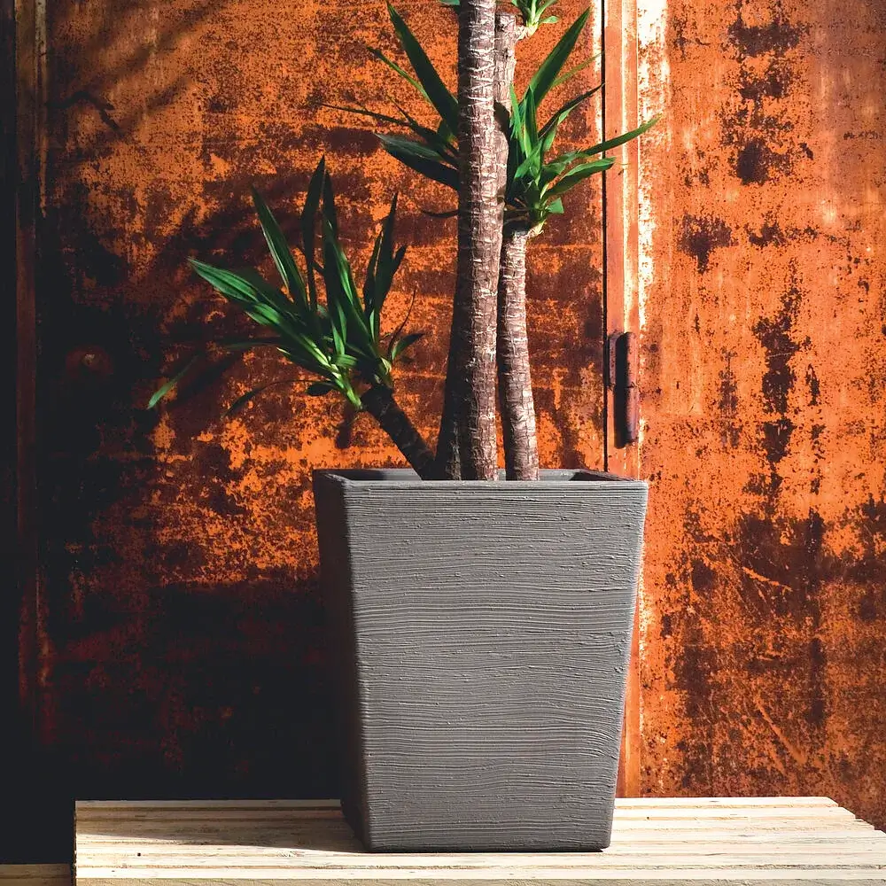 5 vasi da esterno di design
https://21st-gardenart.com/vasi-grandi-in-resina/#/product/Rosa
https://21st-gardenart.com/vasi-grandi-in-resina/#/product/Casp%C3%B2