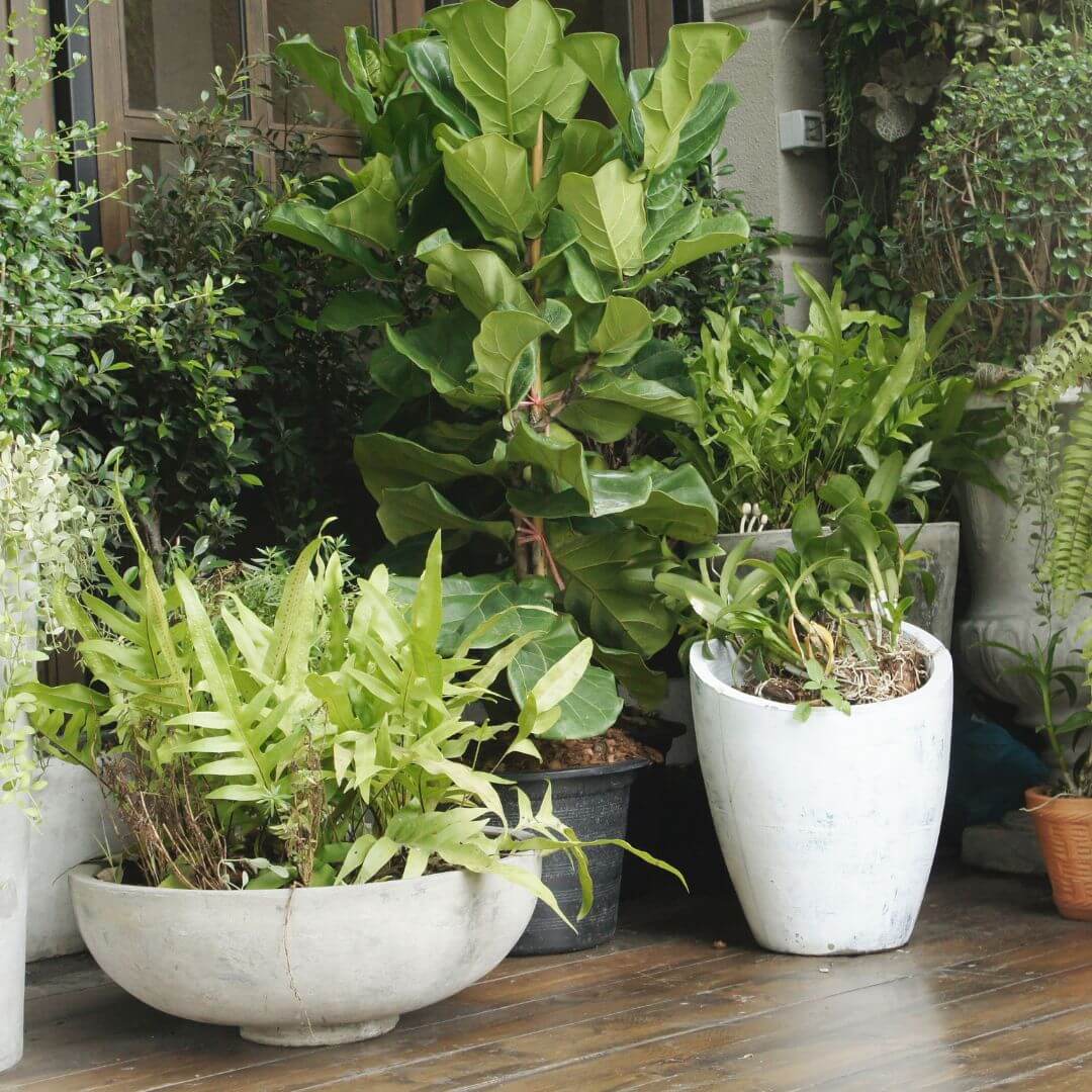 5 vasi da esterno di design